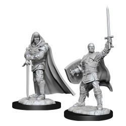 D&D Nolzur's Marvelous Miniatures Unpainted Miniatures Human Paladin Male