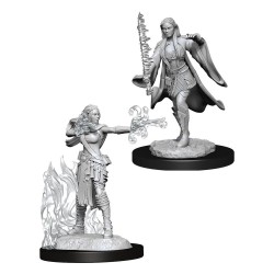 D&D Nolzur's Marvelous Miniatures Unpainted Multiclass Warlock & Sorcerer Female