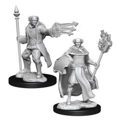 D&D Nolzur's Marvelous Miniatures Unpainted Multiclass Cleric & Wizard Male