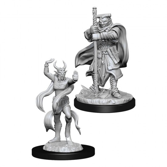 D&D Nolzur's Marvelous Miniatures Unpainted Hobgoblin Devastator & Hobgoblin Iron Shadow