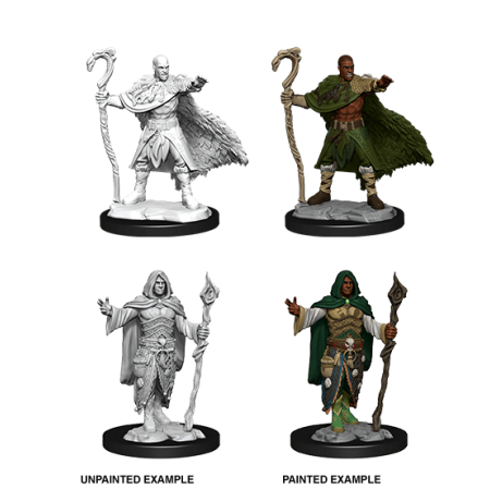 D&D Nolzur's Marvelous Miniatures: Human Druid