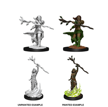 D&D Nolzur's Marvelous Miniatures: Human Druid