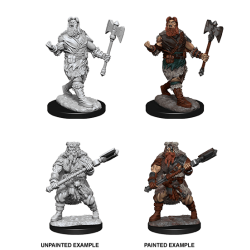 D&D Nolzur's Marvelous Miniatures: Human Barbarian