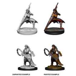 D&D Nolzur's Marvelous Miniatures: Human Monk