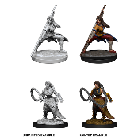 D&D Nolzur's Marvelous Miniatures: Human Monk