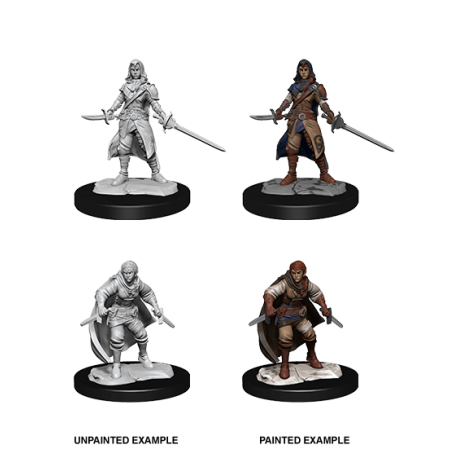 D&D Nolzur's Marvelous Miniatures: Half-Elf Rogue