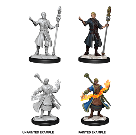 D&D Nolzur's Marvelous Miniatures: Half-Elf Wizard
