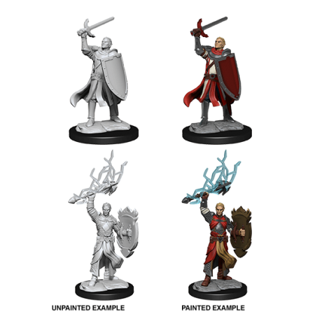 D&D Nolzur's Marvelous Miniatures: Half-Elf Paladin
