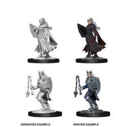 D&D Nolzur's Marvelous Miniatures: Kalashtar Cleric