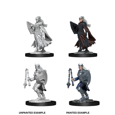 D&D Nolzur's Marvelous Miniatures: Kalashtar Cleric