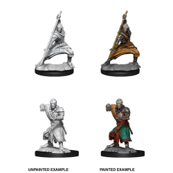 D&D Nolzur's Marvelous Miniatures: Warforged Monk