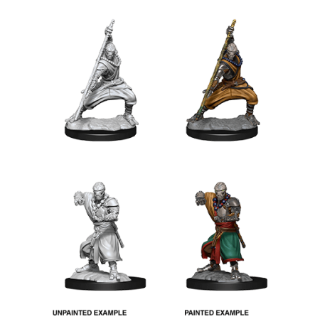 D&D Nolzur's Marvelous Miniatures: Warforged Monk