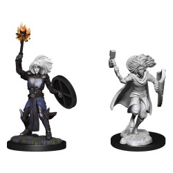 D&D Nolzur's Marvelous Miniatures Unpainted Miniatures Changeling Cleric