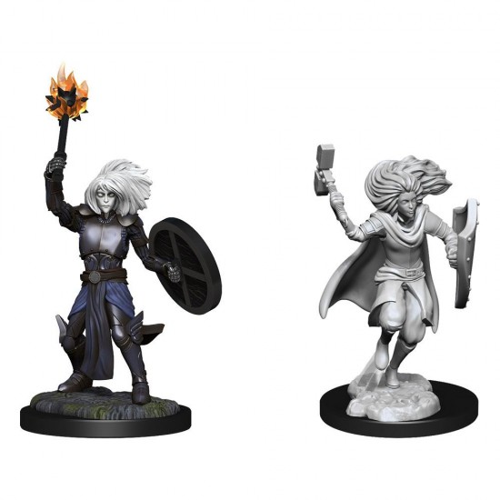 D&D Nolzur's Marvelous Miniatures Unpainted Miniatures Changeling Cleric