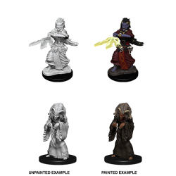 D&D Nolzur's Marvelous Miniatures: Night Hag & Dusk Hag