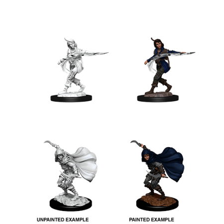 Pathfinder Deep Cuts: Human Rogue Female