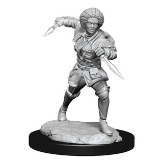 Magic the Gathering Unpainted Miniatures - Kaya