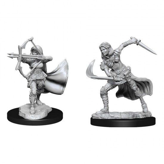 D&D Nolzur's Marvelous Miniatures Unpainted Miniatures Air Genasi Female
