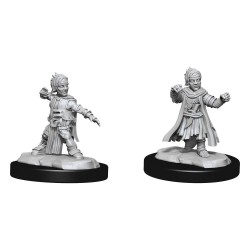 Pathfinder Battles Deep Cuts Unpainted Miniatures Halfing Monk Male