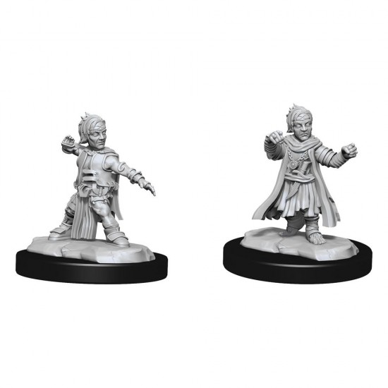 Pathfinder Battles Deep Cuts Unpainted Miniatures Halfing Monk Male
