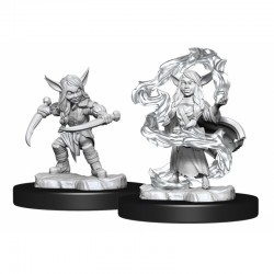 Critical Role Unpainted Miniatures: Goblin Sorceror and Rogue Female