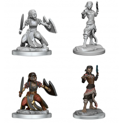 D&D Nolzur's Marvelous Miniatures: Shifter Fighter