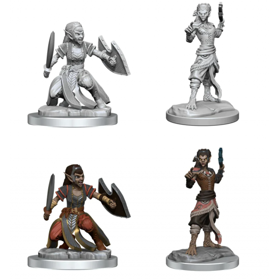 D&D Nolzur's Marvelous Miniatures: Shifter Fighter