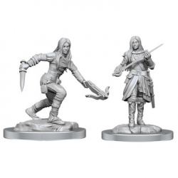 Dungeons & Dragons Nolzur's Marvelous Unpainted Miniatures: Female Half-Elf Rogue