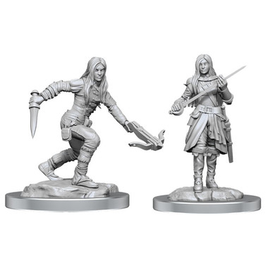 Dungeons & Dragons Nolzur's Marvelous Unpainted Miniatures: Female Half-Elf Rogue