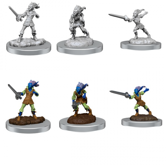 D&D Dungeons & Dragons - Nolzur's Marvelous Miniatures: Quicklings