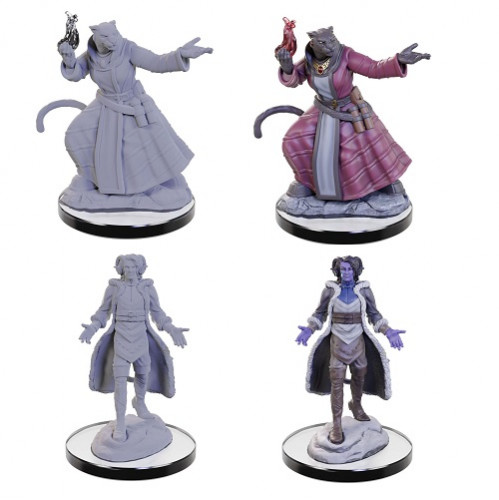 D&D - Fantasy Miniatures - Critical Role: Unpainted Miniatures - Lucien Tavelle & Cree Deeproots
