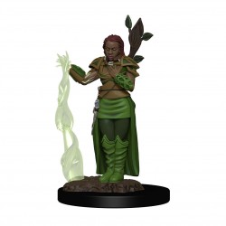 D&D Icons of the Realms Premium Miniature pre-painted Human Female Druid