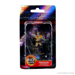 DnD Firbolg Male Druid Premium Figure