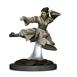 D&D Icons of the Realms: Premium Miniatures: Human Monk Female