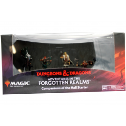 Forgotten Realms Companions Hall Starter Set Pre Painted Miniatures