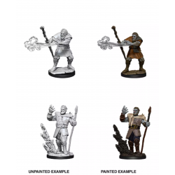 D&D Nolzur's Marvelous: Firbolg Male Druid