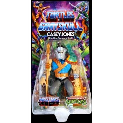 Turtles of Grayskull Masters of the Universe  Casey Jones