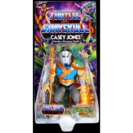 Turtles of Grayskull Masters of the Universe  Casey Jones