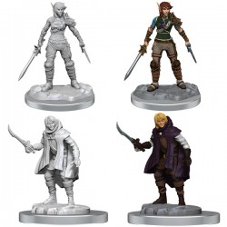 D&D Dungeons & Dragons - Nolzur's Marvelous Miniatures: Elf Rogue & Half-Elf Rogue Protégé